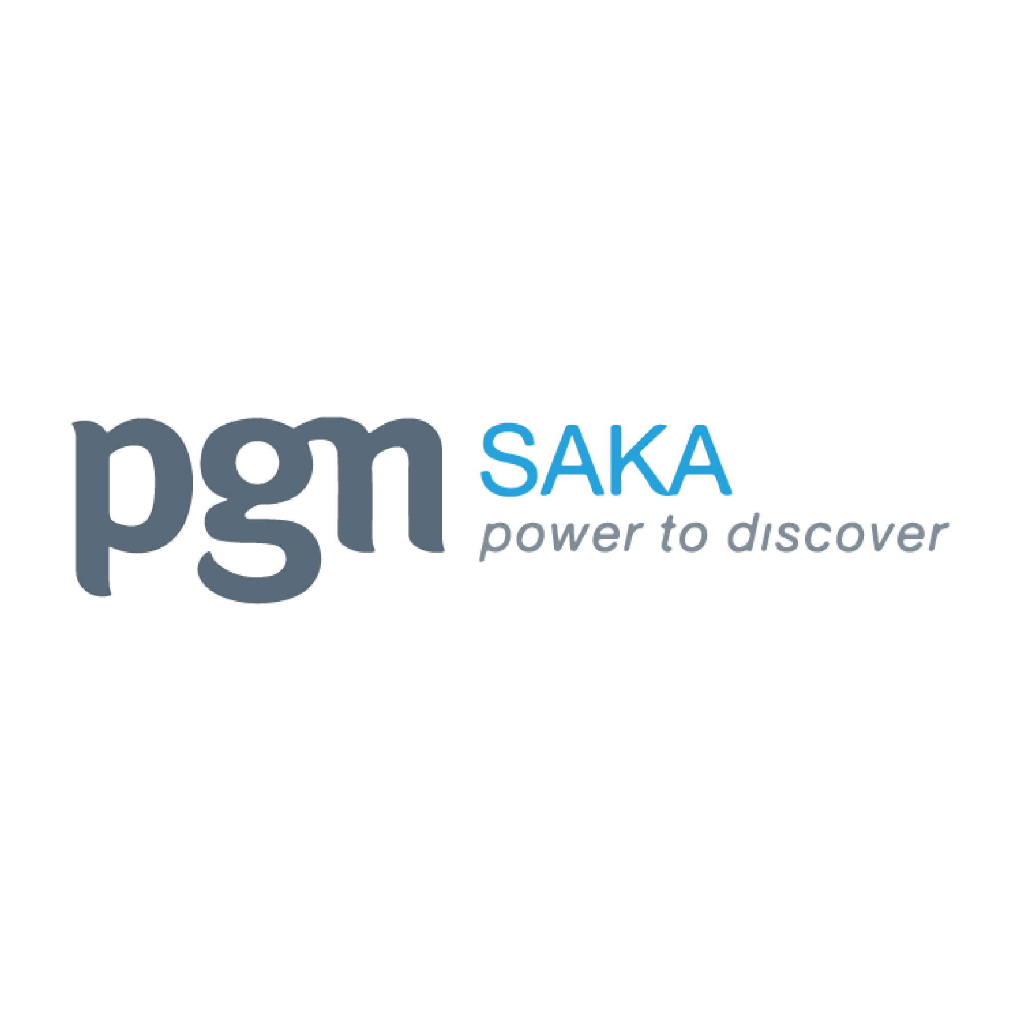 pgnsaka.png